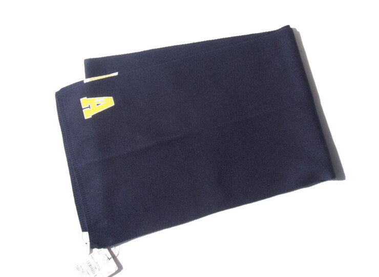 アヴィレックス｜AVIREX｜カレッジロゴマフラーイメージ02