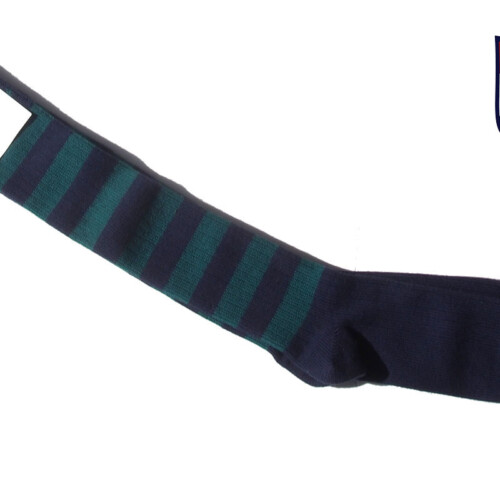 エラル55｜ERAL55｜ボーダー柄コットンロングソックスイメージ01