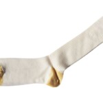 ストラスブルゴ｜strasburgo｜ウール×ナイロンリブソックス｜ホワイトイメージ02