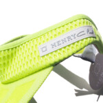 09 02 henry club sunvisor yl (3)
