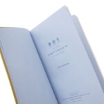 04 01 smythson panama 05 insp lime (8)