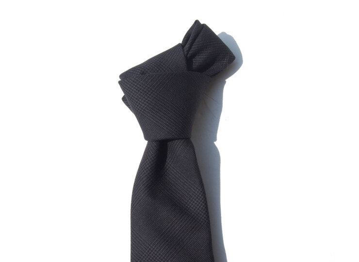 05 01 ad c necktie 020 (8)