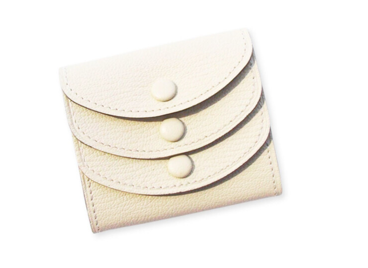 HTM 1969 larcobaleno triple coin case (5)