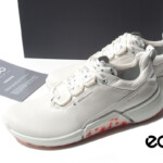 HTM 2217 ecco lydia (1)