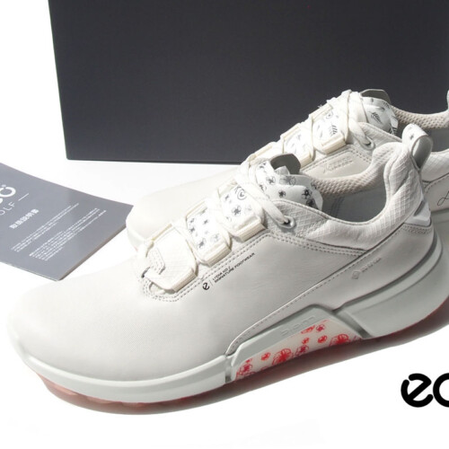 HTM 2217 ecco lydia (1)
