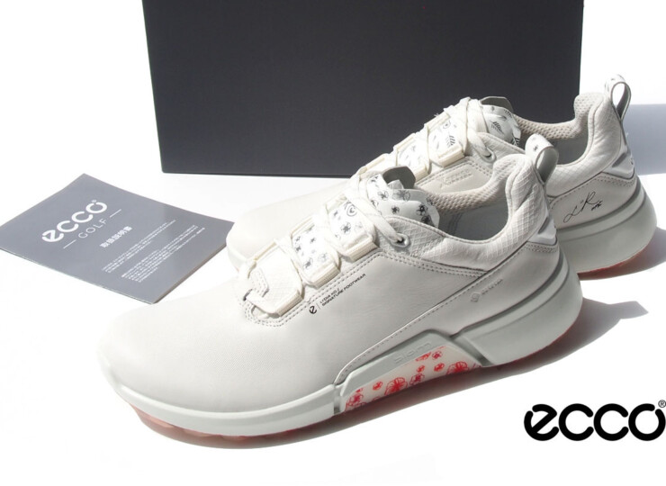 HTM 2217 ecco lydia (1)