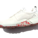 HTM 2217 ecco lydia (5)